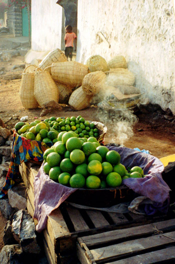 qaynuunka-dahabkaa